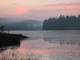 Mist over a forest lake at dawn, Allegheny National Forest, Pennsylvania